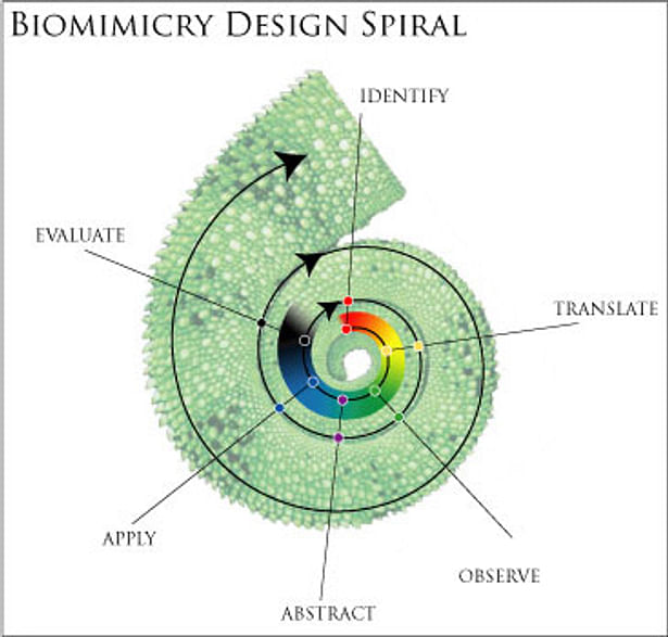 BIOMIMICRY DESIGN RESEARCH 