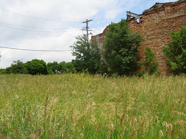 Over grown vacant lot on Michigan Avenue