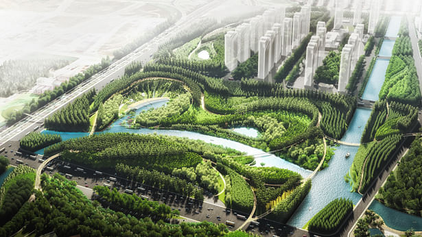 Water Valley - A lion-energized topography with native forest and pedestrian bridge network © TLS