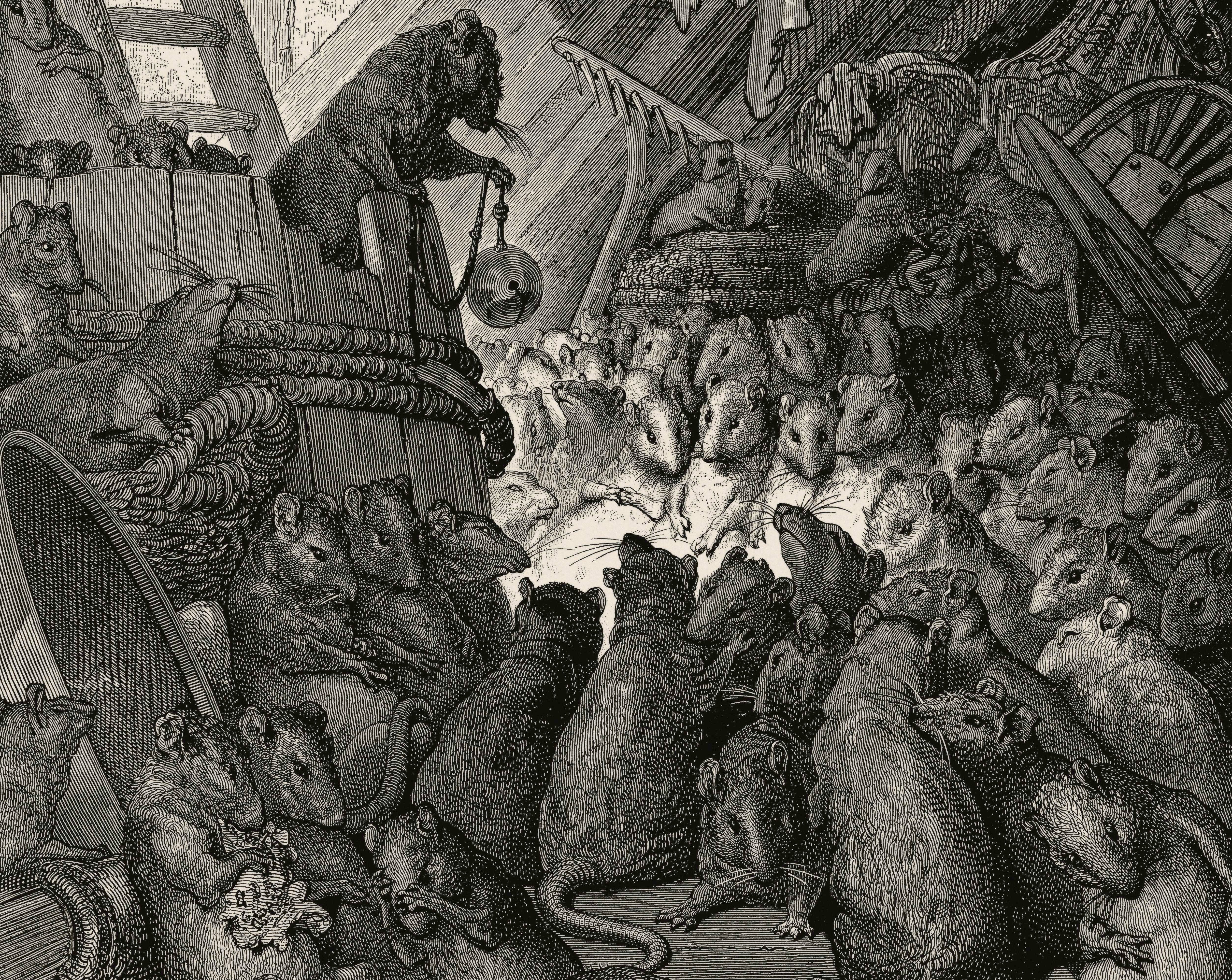 Study Finds NY Rats Have Alarming Diseases | News | Archinect