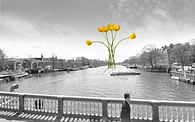 Iconic Pedestrian Bridge in Amsterdam