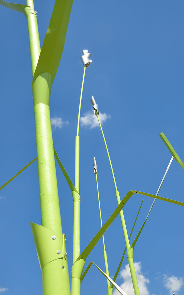 'Turfgrass' detail