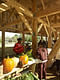 Vendors sell produce at the grand opening of the Windsor Farmers Market. From IF YOU BUILD IT, a Long Shot Factory Release 2013. Courtesy of Brad Feinknopf