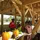 Vendors sell produce at the grand opening of the Windsor Farmers Market. From IF YOU BUILD IT, a Long Shot Factory Release 2013. Courtesy of Brad Feinknopf