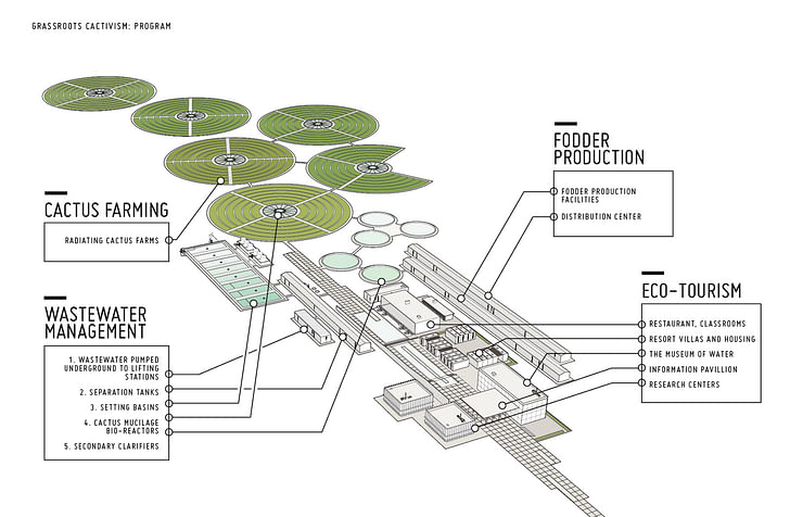 A programmatic diagram for 'Grassroots Cactivism.' Credit: Ali Chen