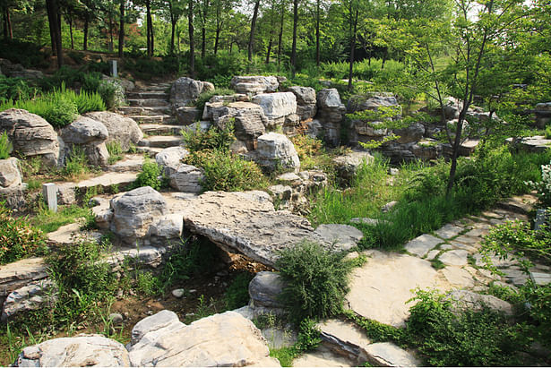 Forest Path in Beijing Olympic Forestry Park