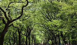 Trees can help megacities save $505 million per year, according to new research