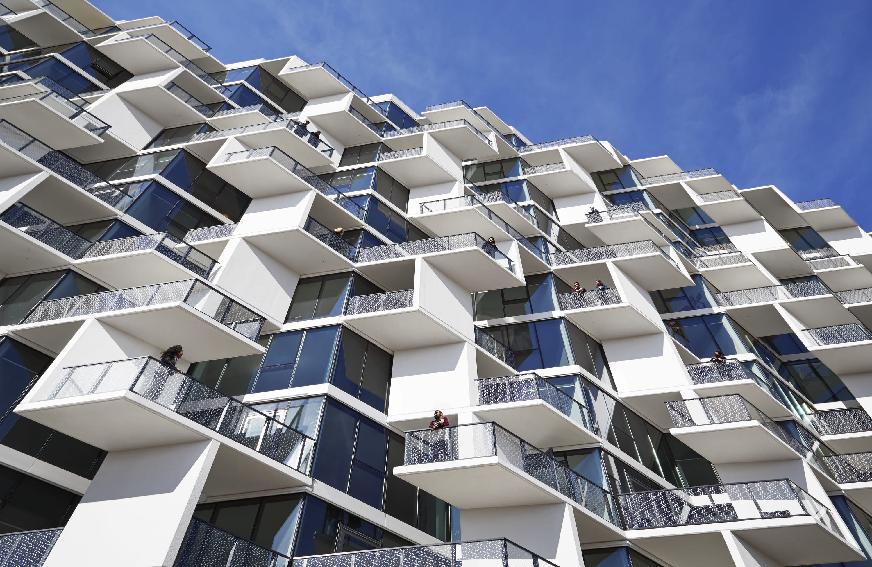 Studio Gang co-curates Chicago Architecture Center exhibition on designing for bird migration