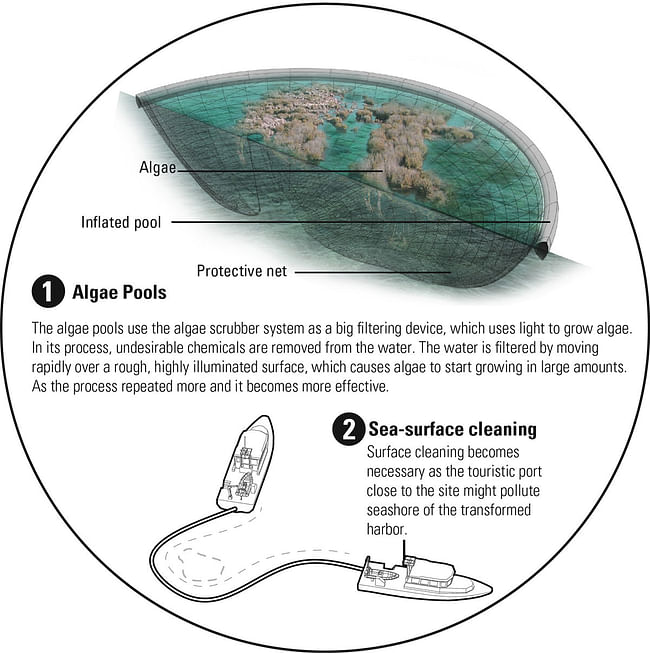 Algae pool diagram. 'Beyond the Clouds' - finalist Smart Harbor entry 