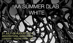 Apply now for the 2014 AA SUMMER DLAB :: WHITE - Registration ends Monday, July 14