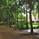 Walking path and Dhamma hall