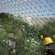Pictures of the construction and setup of Biosphere 2, a compound intended to function as a self-sustaining ark for human life.This privately funded scale model of planet earth (Biosphere 1) was an ecological experiment, but it also explored the possibility of human colonies in outer space.The...