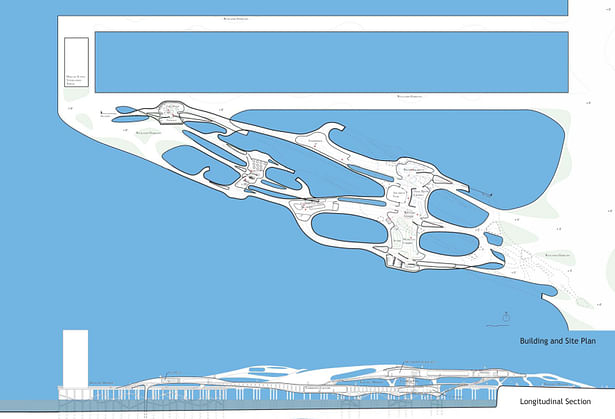 Ecotectonics Plan and Section