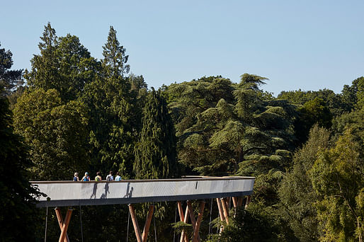 Stihl Treetop Walkway by Glenn Howells Architects. Photo by Rob Parrish.