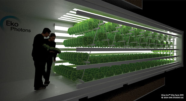 Fresh from the sky: HIVE-INN™ CITY FARM JUST LANDED IN NEW YORK. Hive-Inn™ City Farm is a modular farming structure where containers are designed and used as farming modules and acts as an ecosystem where each unit plays a role in producing food, harvesting energy and recycling waste and water.