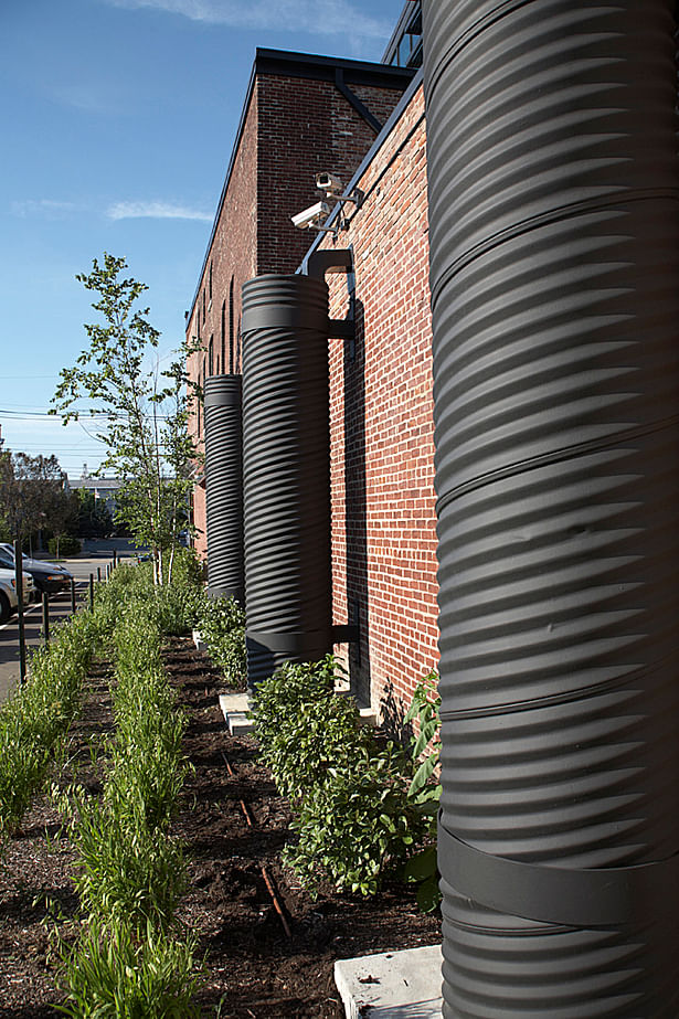 Where storm water does flow off the green roof, the three collection tanks on the west side collect up to 240 cubic feet of the flow. The water is then reused for irrigation and outdoor purposes.