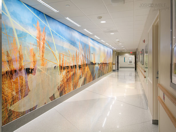 Riley Hospital for Children Wall Murals Interior Photography ©Josh Humble