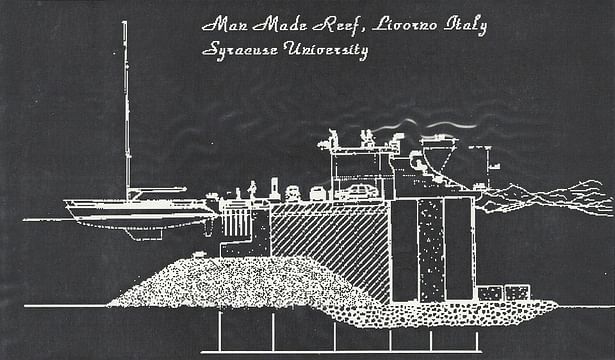 Manmade Reef and Viewing platform for marina