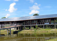 Smithsonian Tropical Research Station, Bocas del Toro, Panama