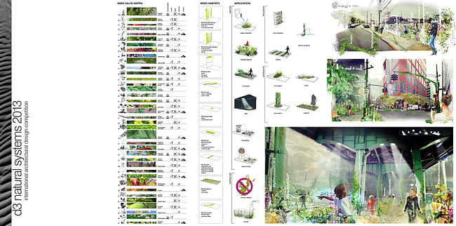 SPECIAL MENTION: URBAN LANDSCAPE INTERVENTION: Spontaneous Urban Plants by David Seiter, Lois Farningham, Zenobia Meckley, Kate Rodgers, Brett Kordenbrock, Koung Jin Cho | USA