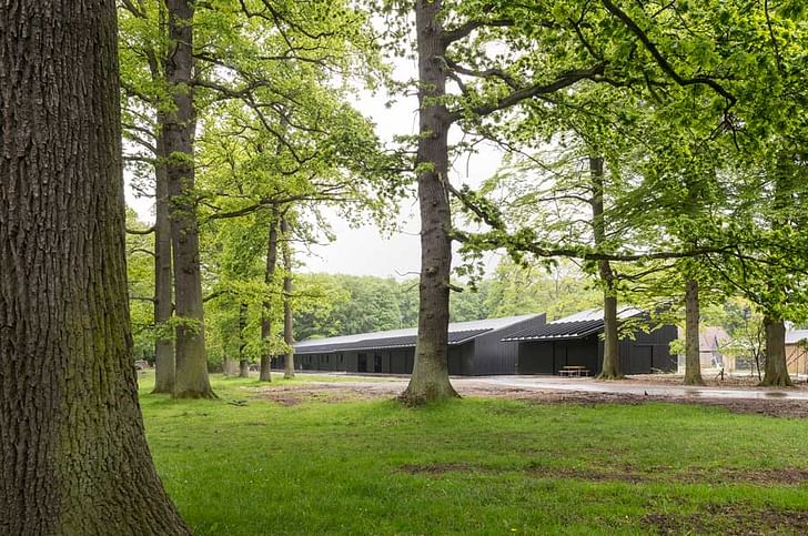 The Danish firm Bertelsen & Scheving recently designed new stables for the horses that pull carriages in Dyrehaven, a popular park outside of Copenhagen. Credit: Bertelsen & Scheving