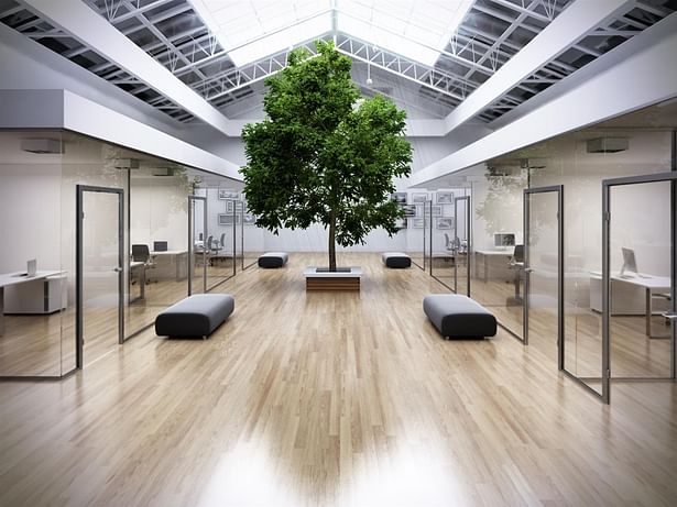 3d visualization of Office with Tree