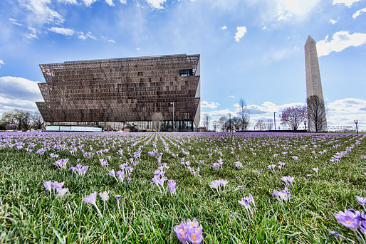 Photo credit: Smithsonian Institution - Michael Barnes.