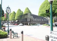 Nelson's Drug Store