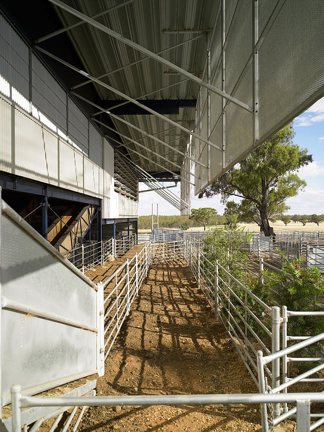 Deepwater Woolshed. Photo: Michael Nicholson.