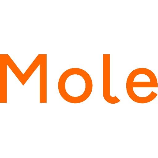 Mole Architects