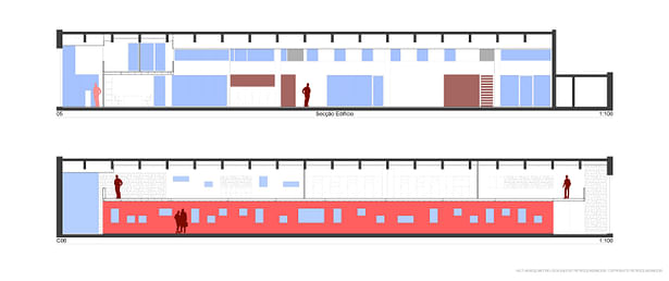 longitudinal sections