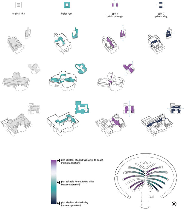 X-Palm - rePLOT typologies