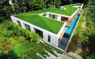 Zig Zag House