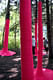 Pink Punch in Jardin de Metis, Canada by Michaela MacLeod with Nicholas Croft 