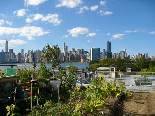 Rooftop farm in Brooklyn, NY. Photo: Rositsa Ilieva, via apafig.wordpress.com.