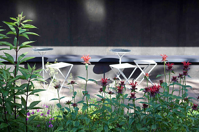 Serpentine Gallery Pavilion 2011, designed by Peter Zumthor © Peter Zumthor, Photo: Walter Herfst