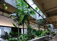 Jungle Station