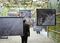 Vegetation as a Political Agent - exhibition at PAV (Torino - Italy)
