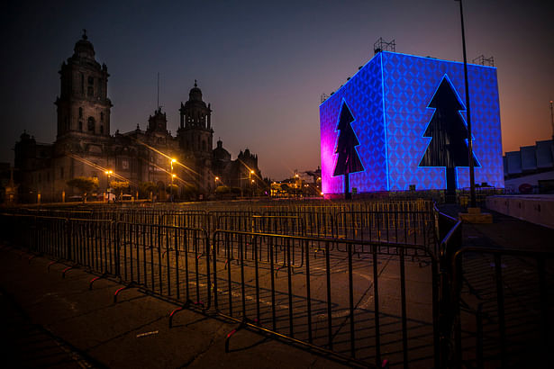 Arbol CDMX - Miguel de la Torre Arquitectos