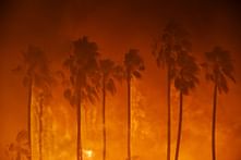 Are California homes burning from natural disasters or poor planning?