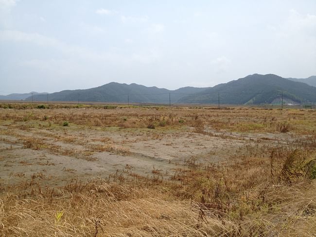 Saline water infested rice field