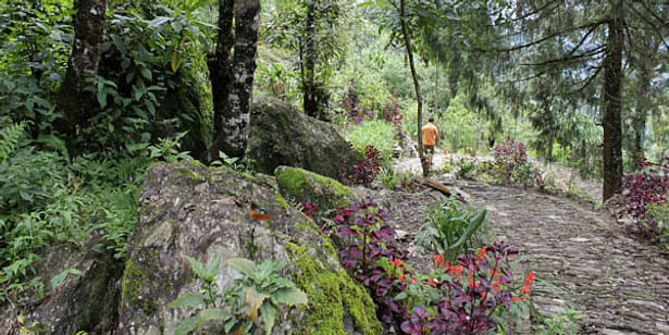 Landscape at the Butterfly Reserve