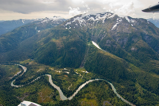 Great Bear Rainforest. Photo: Andrew Wright.