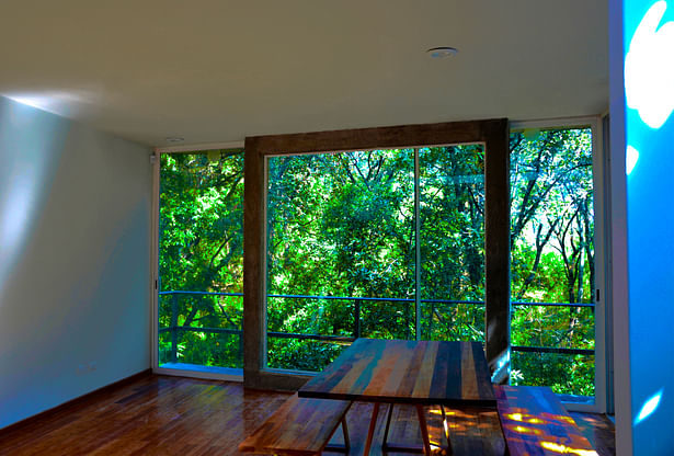 Living and Dining room view (framing the nature)