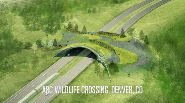 Arc Wildlife Crossing. Screenshot from Balmori.com