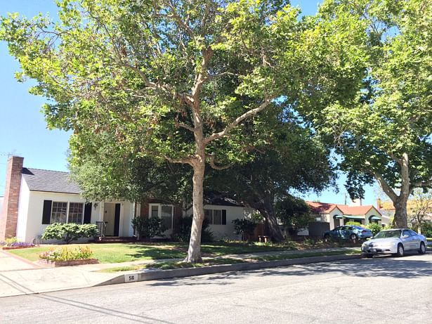 Frontyard before (5/5/2014).