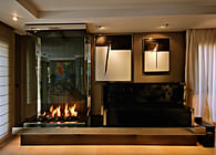 Luxury Fireplace / cheminée de luxe