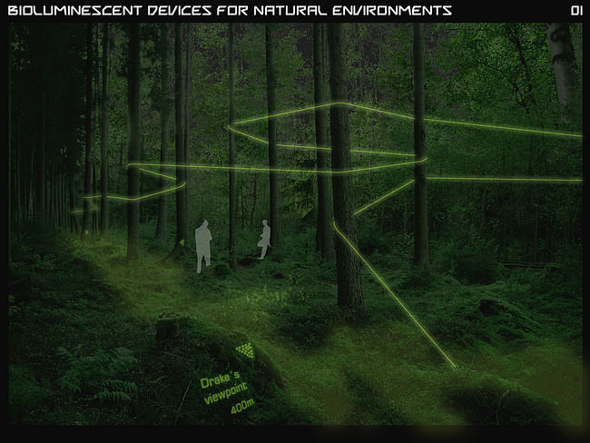 3rd 'Next Generation' Prize: Bioluminescent devices for zero-electricity lighting, Seville, Spain by Eduardo Mayoral, Universidad de Sevilla, Spain: Natural environment illuminated with populations of bioluminescent bacteria, also used to generate signs to orient people in the woods.