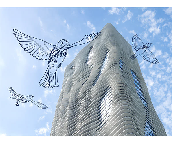 Flyway City: Architecture for a Flourishing Ecosystem