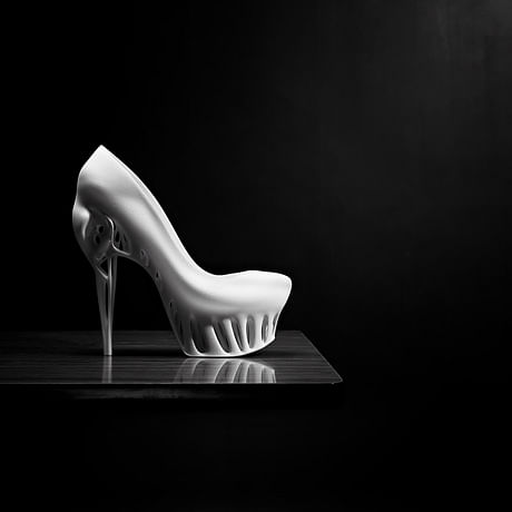 Designed by Marieka Ratsma in cooperation with Kostika Spaho, photography Thomas van Schaik. The idea for this shoe highlights the aesthetics and the shape of the bird skull, along with the characteristics of the lightweight, and highly-differentiated bone-structure within the cranium. Such structure requires less support-material, resulting in optimal efficiency, strength and elegance. by Marieka Ratsma